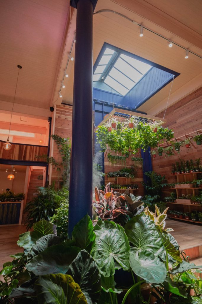 Jardines verticales inspiración