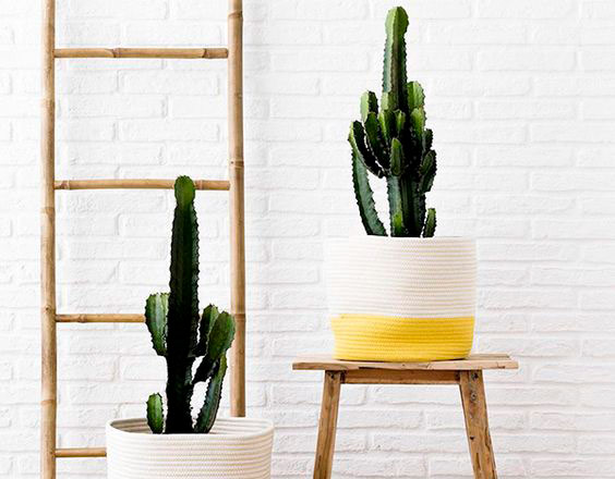 Tendències de decoració per a l’estiu